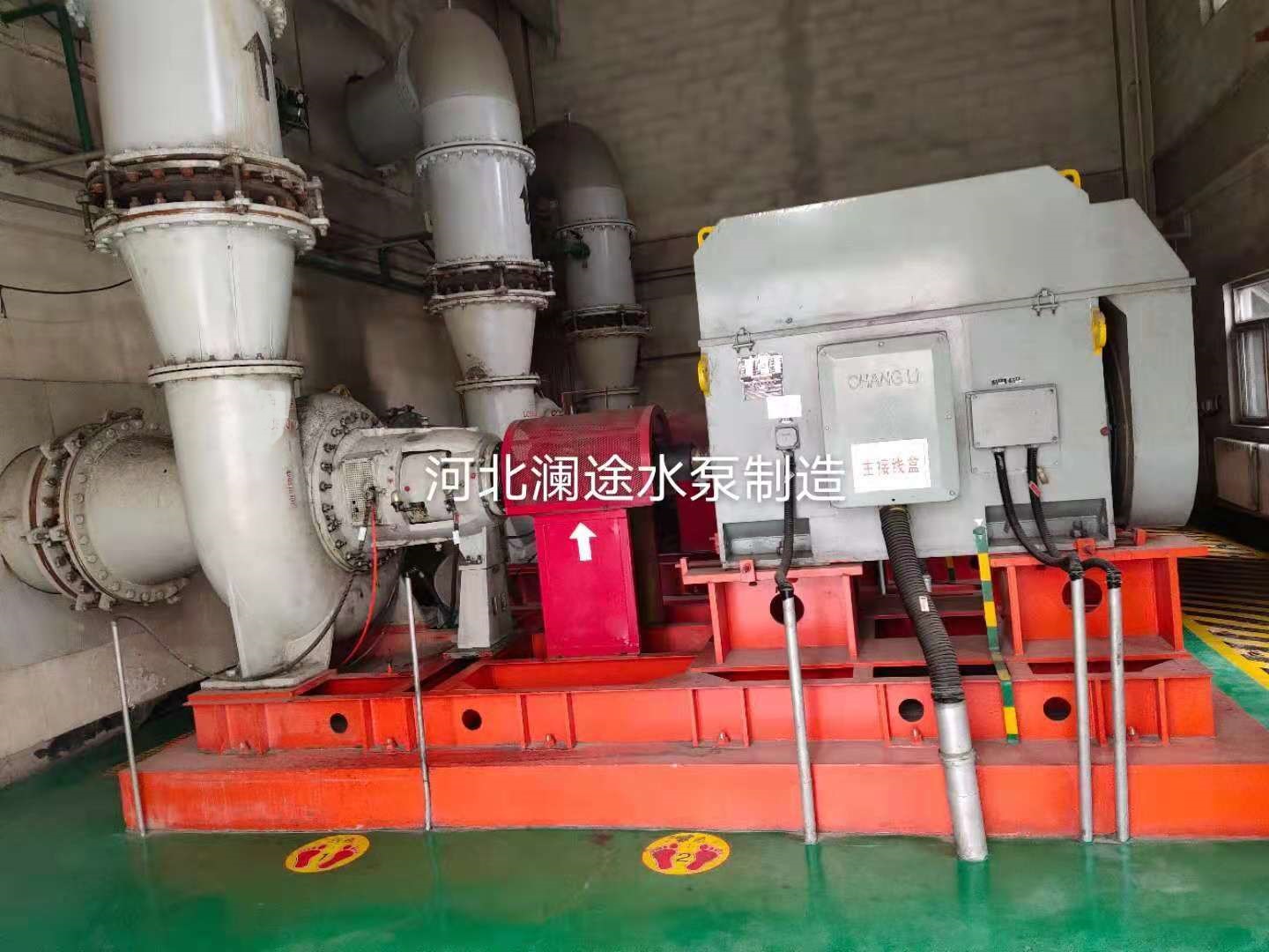 香港最真正最准资料