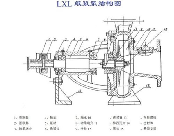 香港最真正最准资料